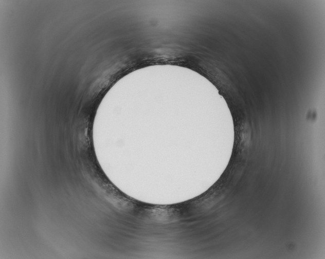 X0000110900615200907161553