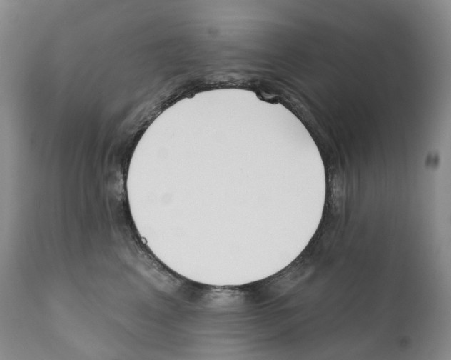 X0000110900617200907161553