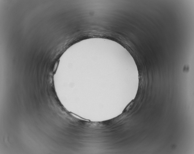 X0000110900621200907161553