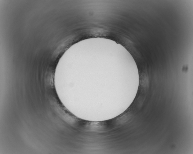 X0000110900622200907161553