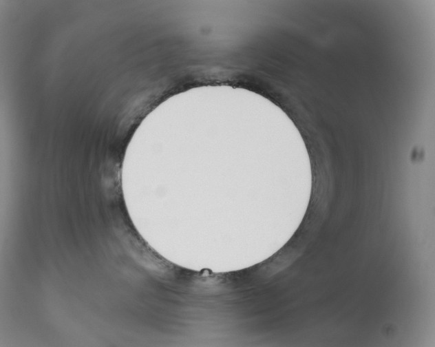 X0000110900624200907161553