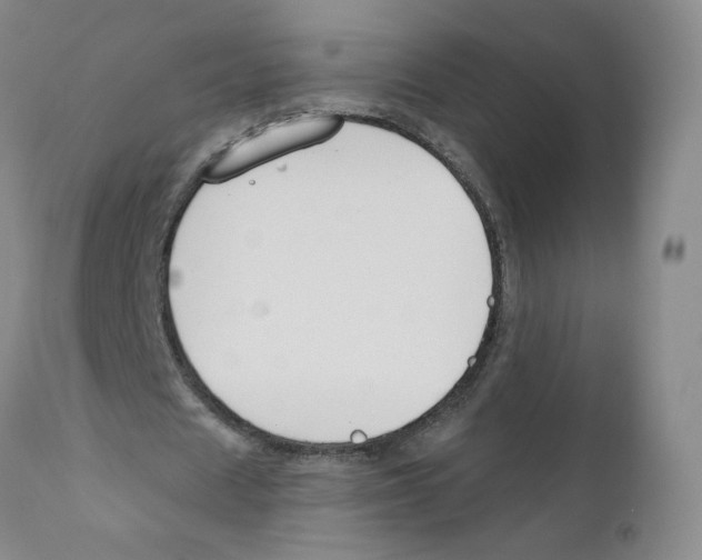 X0000110900625200907161552