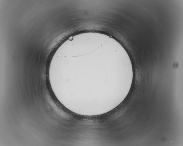 X0000110900629200907161552