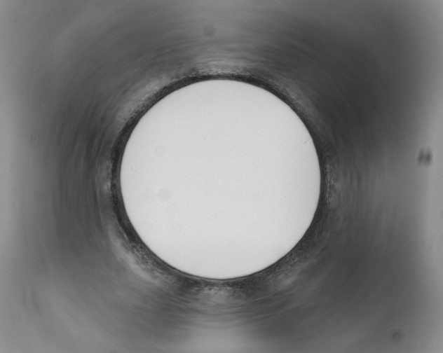 X0000110900631200907161552