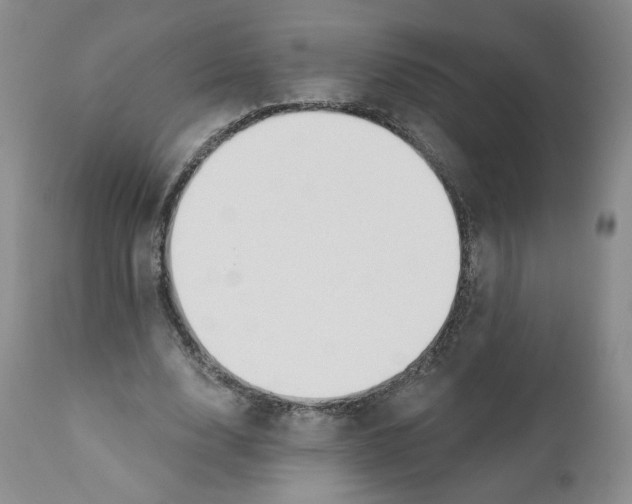 X0000110900632200907161552