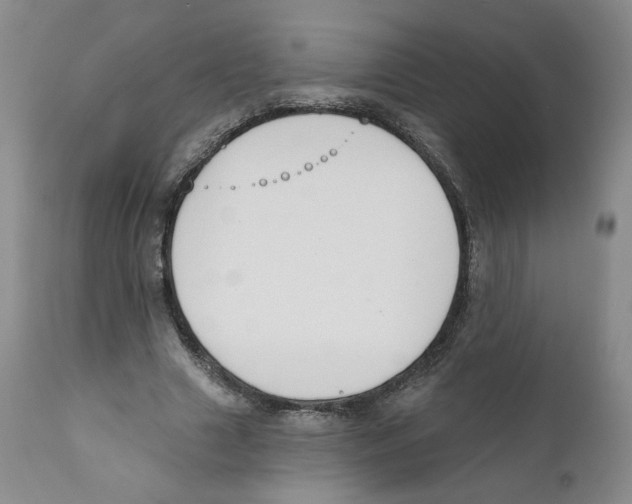 X0000110900633200907161552