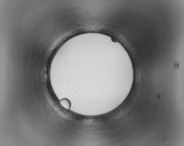 X0000110900634200907161552