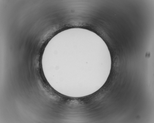 X0000110900635200907161552