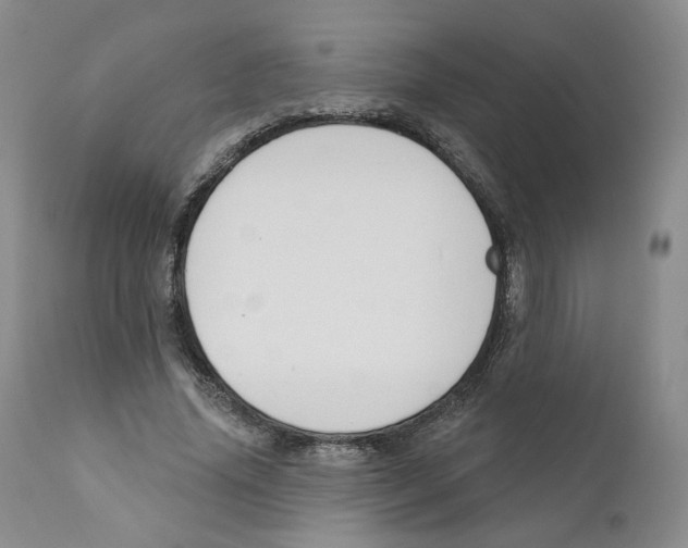 X0000110900636200907161552