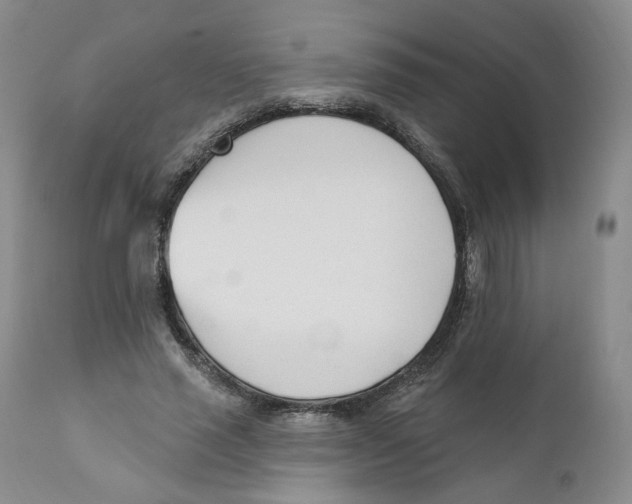 X0000110900637200907161552