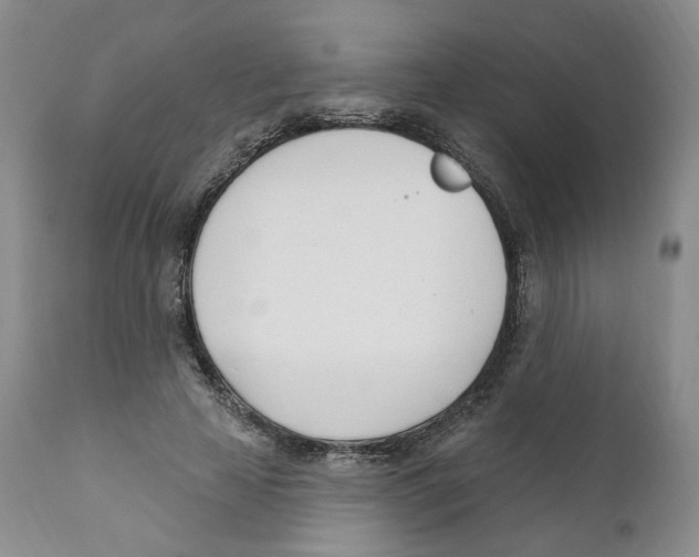 X0000110900641200907161552