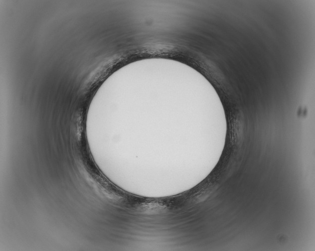 X0000110900644200907161552