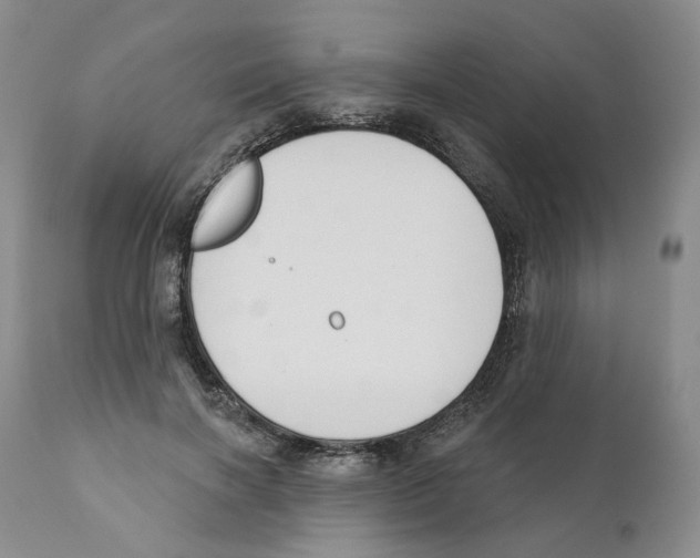 X0000110900646200907161552