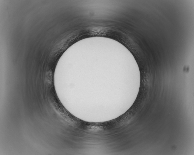 X0000110900649200907161552