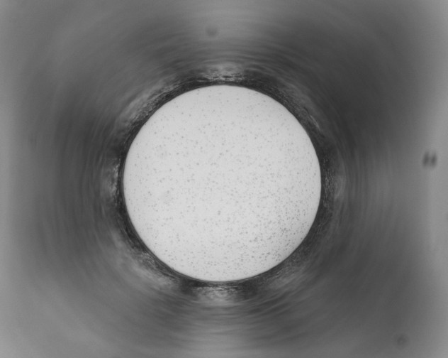 X0000110900652200907161552