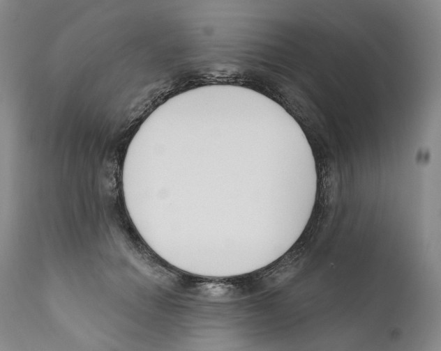 X0000110900654200907161553