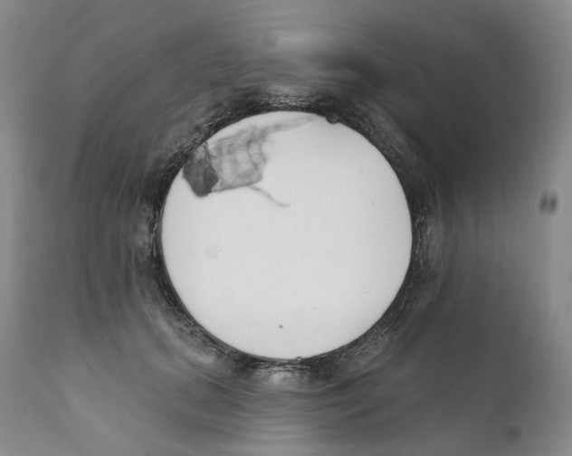 X0000110900655200907161553