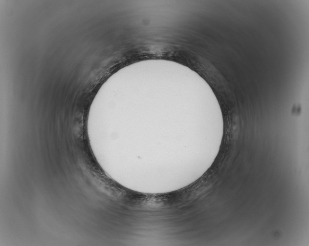 X0000110900656200907161553