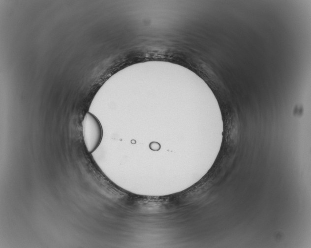 X0000110900661200907161553