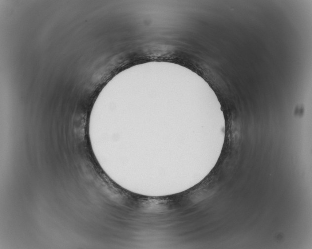 X0000110900664200907161553