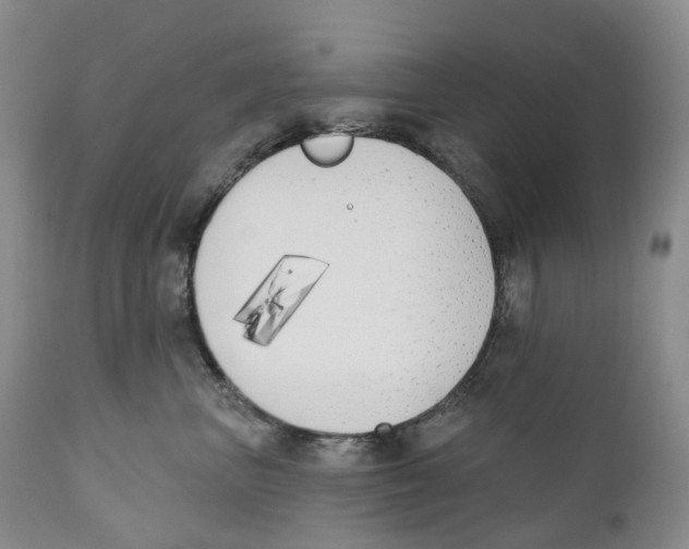 X0000110900667200907161553