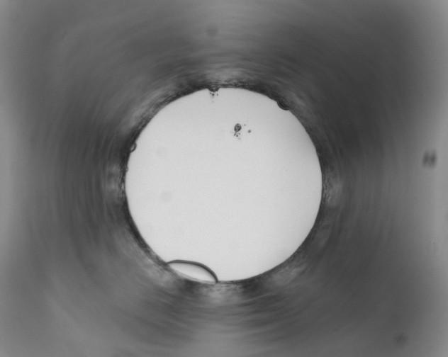 X0000110900670200907161553