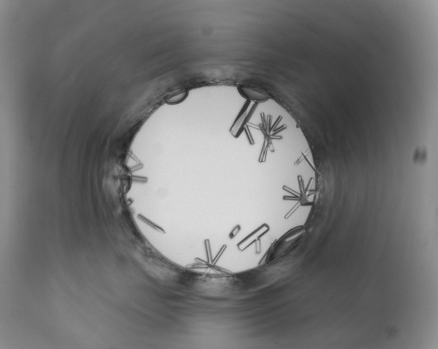 X0000110900671200907161553