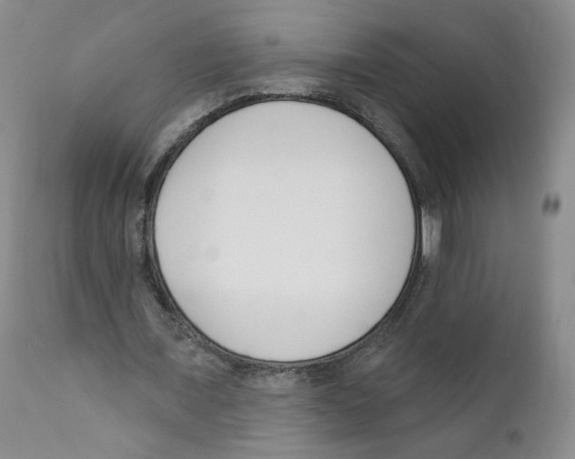 X0000110900675200907161552