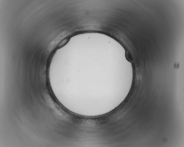 X0000110900677200907161552