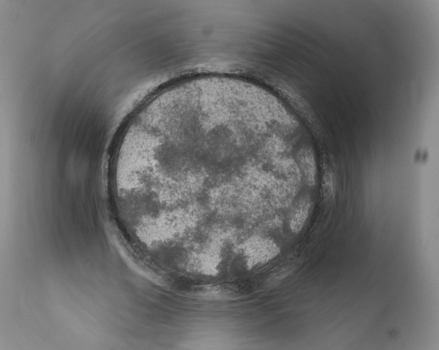 X0000110900678200907161552