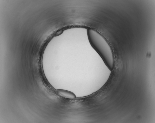 X0000110900680200907161552