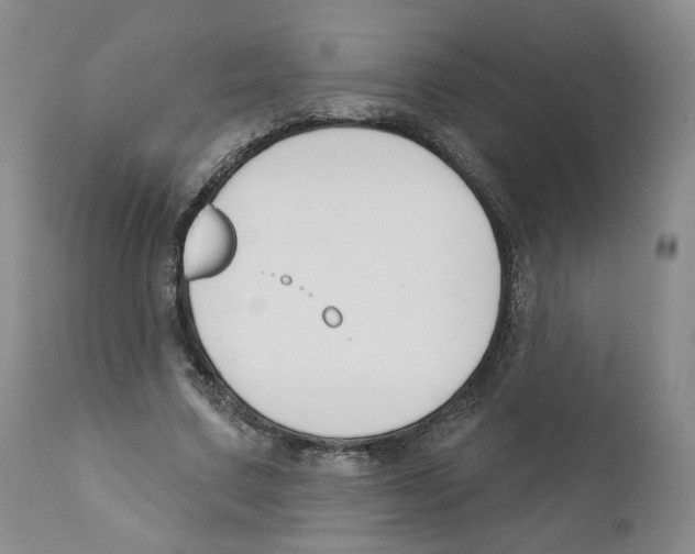 X0000110900683200907161552