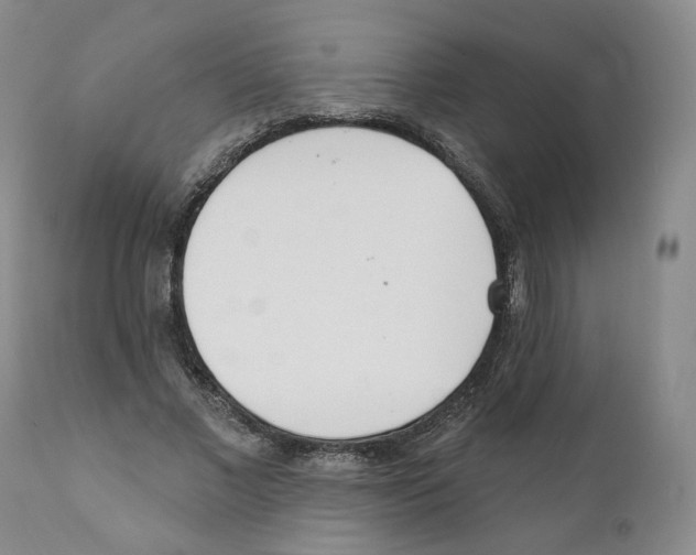 X0000110900685200907161552