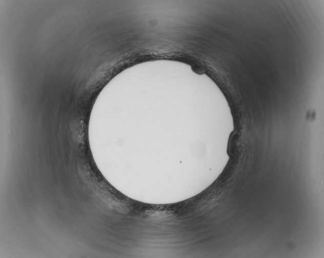 X0000110900689200907161552