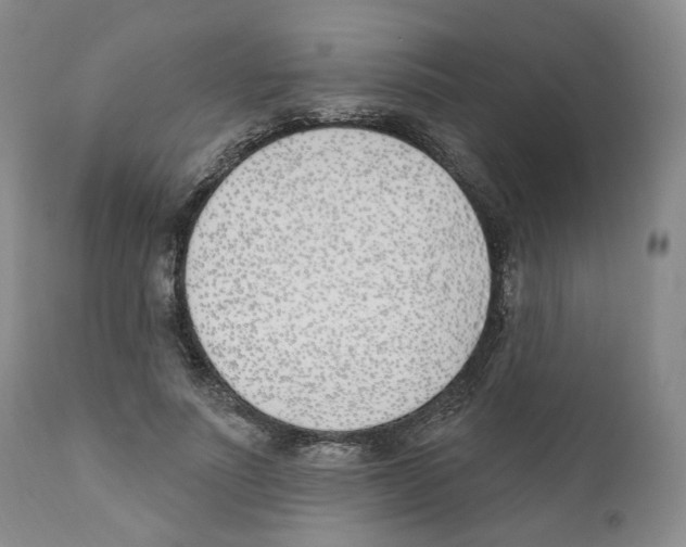 X0000110900691200907161552