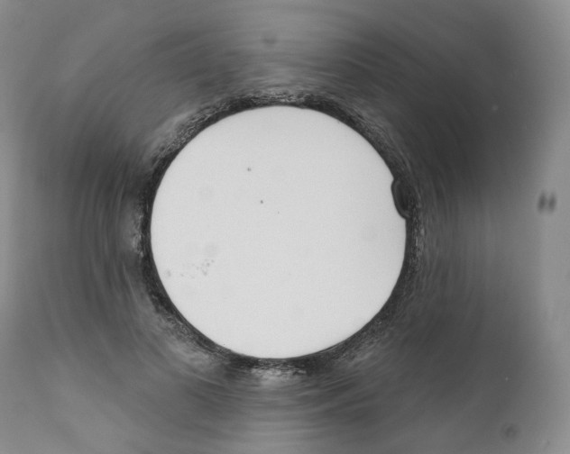 X0000110900693200907161551