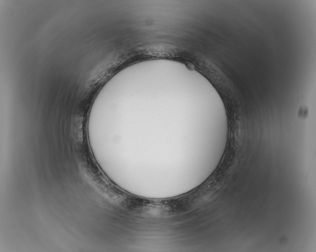 X0000110900696200907161551