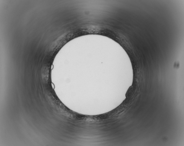 X0000110900697200907161551