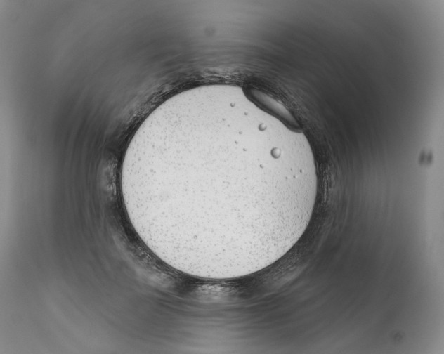 X0000110900699200907161551