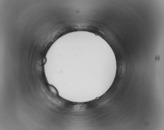 X0000110900700200907161551