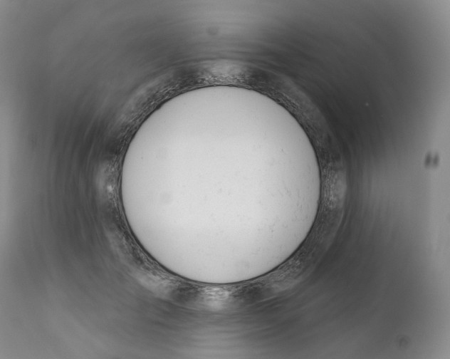 X0000110900701200907161551