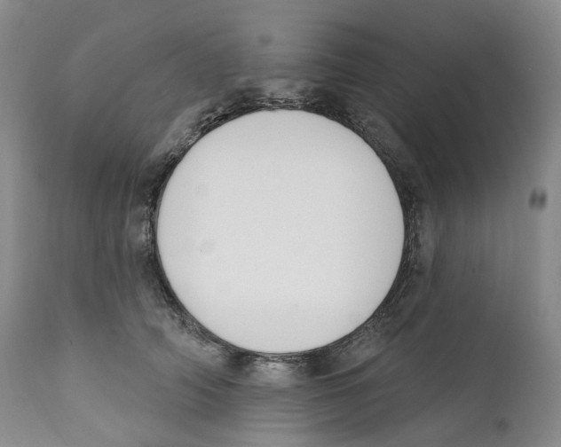 X0000110900706200907161551