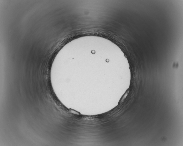 X0000110900708200907161551