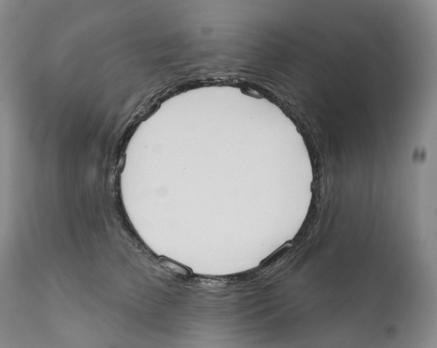 X0000110900709200907161551