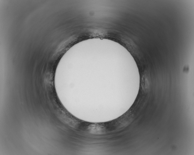 X0000110900714200907161551