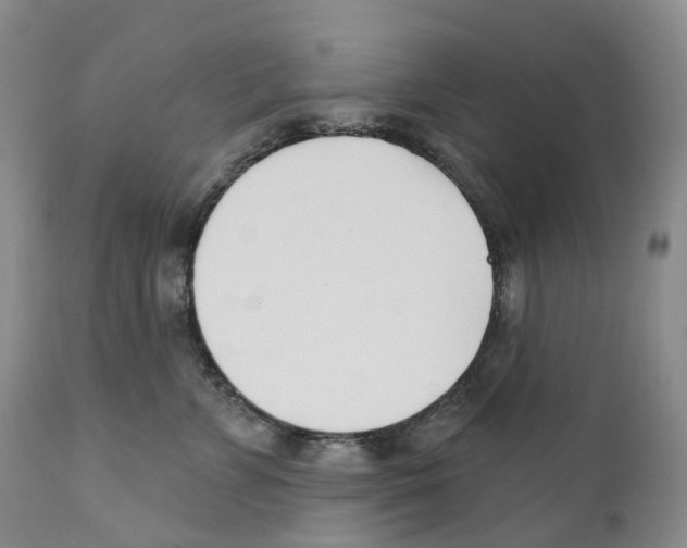 X0000110900715200907161551