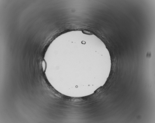 X0000110900716200907161551