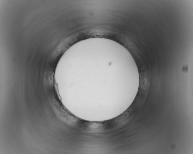 X0000110900718200907161551