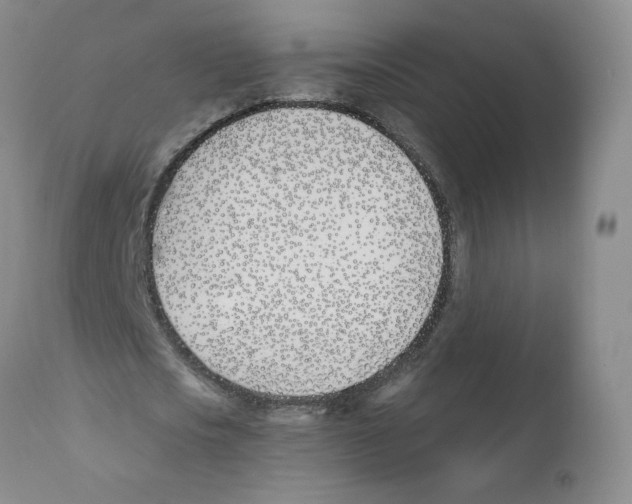 X0000110900721200907161550