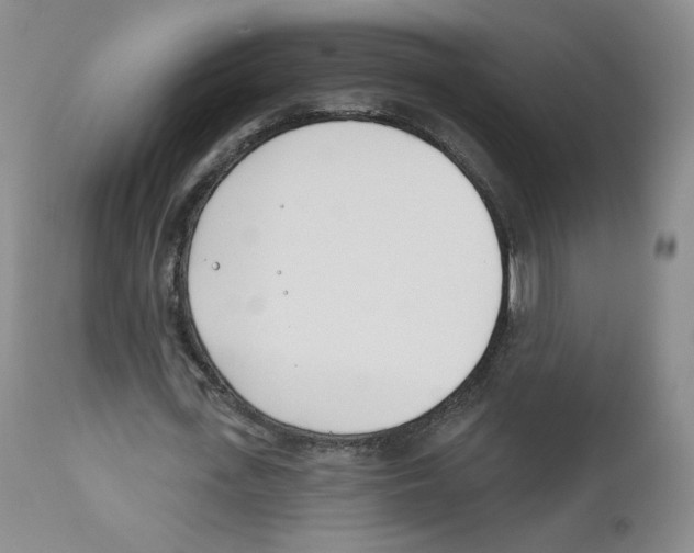 X0000110900723200907161550